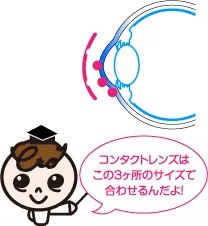お選びいただけます。